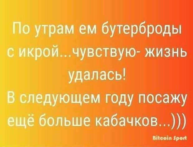 15 невыдуманных коротких смешных и жизненных рассказов с просторов интернета от обычных людей…