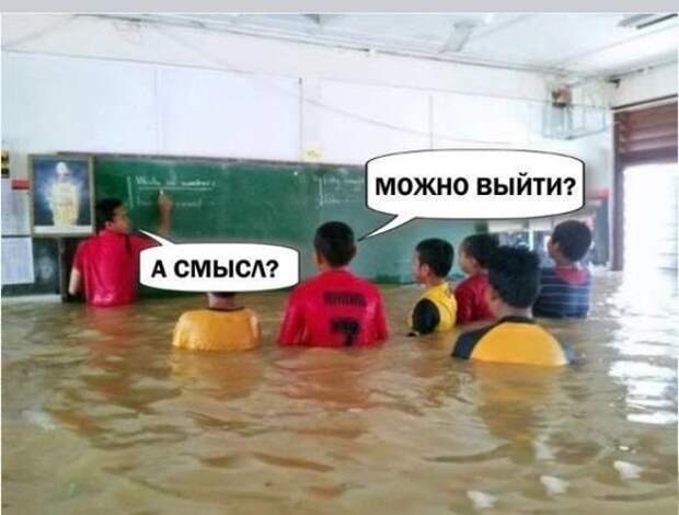 Уморительные перлы из социальных сетей Уморительные перлы из социальных сетей