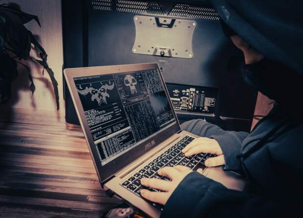 Кибермошенники похитили у новосибирцев 2,5 млрд рублей в 2025 году