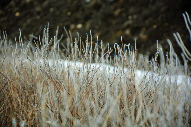 Погода 13 января: ночью до -7