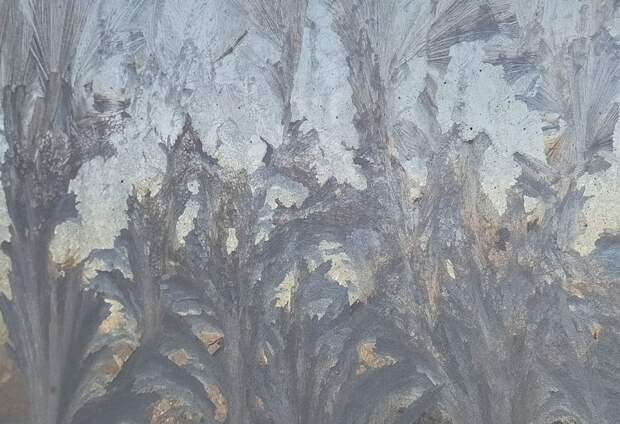 Туляков предупредили о надвигающемся на регион снегопаде