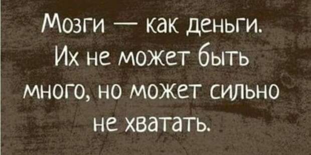 Смешные и забавные истории и шутки для настроения из жизни