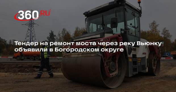 Тендер на ремонт моста через реку Вьюнку объявили в Богородском округе