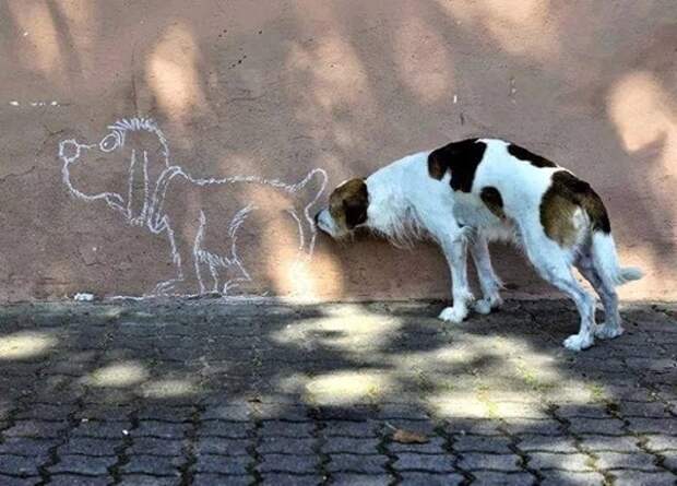 cachorro cheira desenho