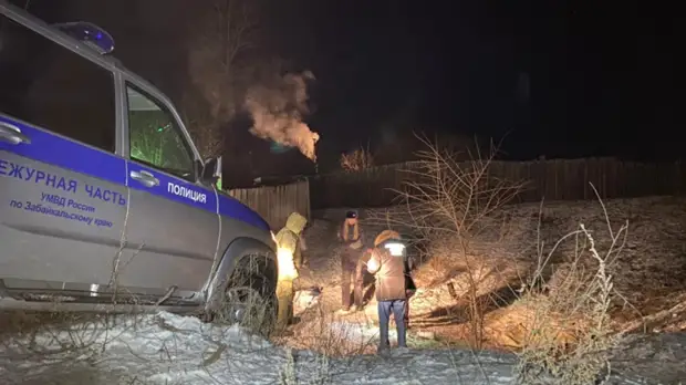 Бастрыкин передал дело о гибели девочки из-за нападения собак в Забайкалье в ГСУ СК
