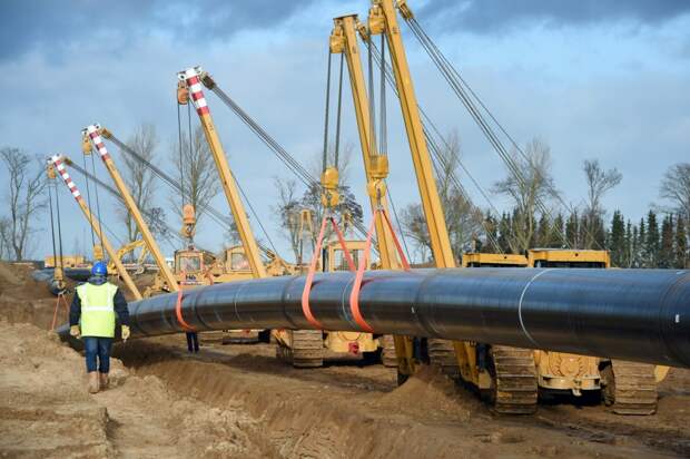 Фото: www.globallookpress.com