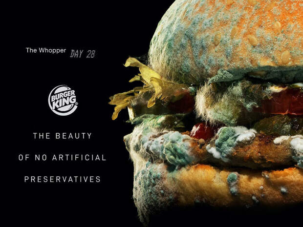 Бургер от Burger King через 34 дня