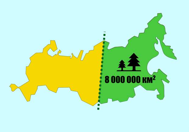 Почему леса в России горят каждый год, но все никак не догорят?