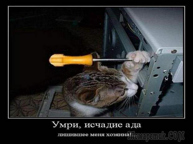 Демотиваторы для настроения