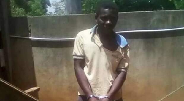 Малави: "свидание" с козой закончилось в полиции
