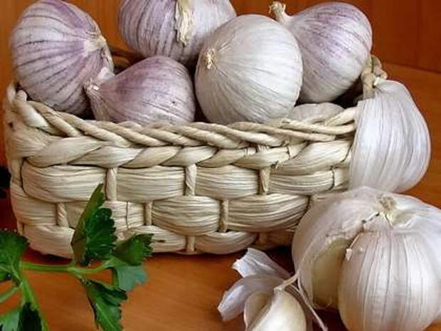 3_thumb4 (420x315, 114Kb)