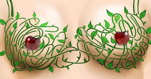 thumb-600x315 (1)