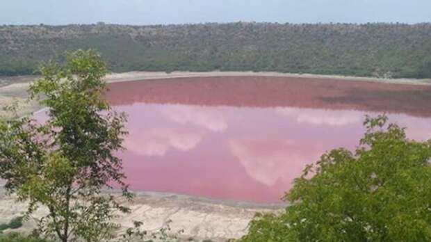 Индийское озеро Лонар окрасилось в розовый цвет