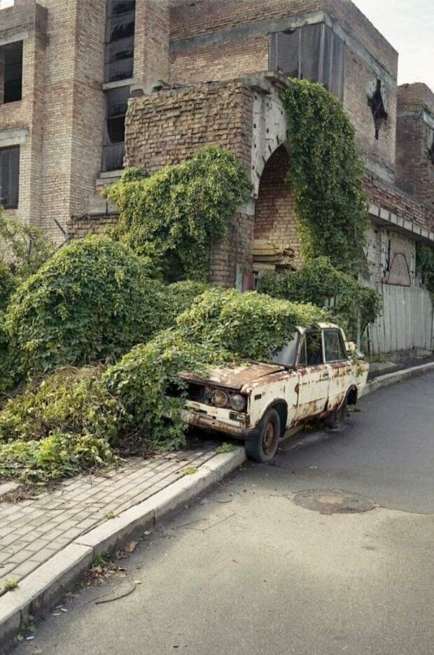 Конец возмездие, кара, парковка, прикол, юмор