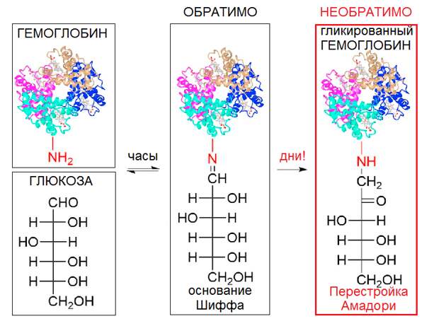 гликирование.png