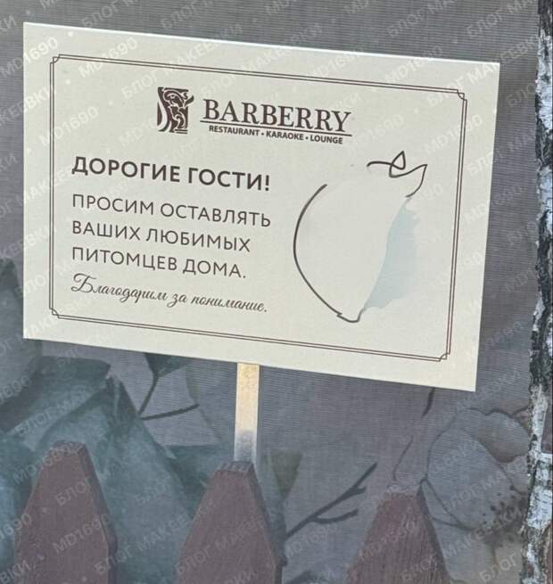 За границей и в кафе можно и в кинотеатр и тд