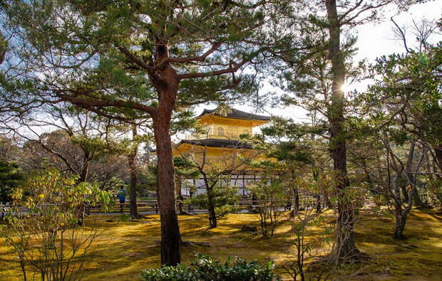Кинкаку-дзи, один из буддистских храмов Киото. Источник: pixabay.com