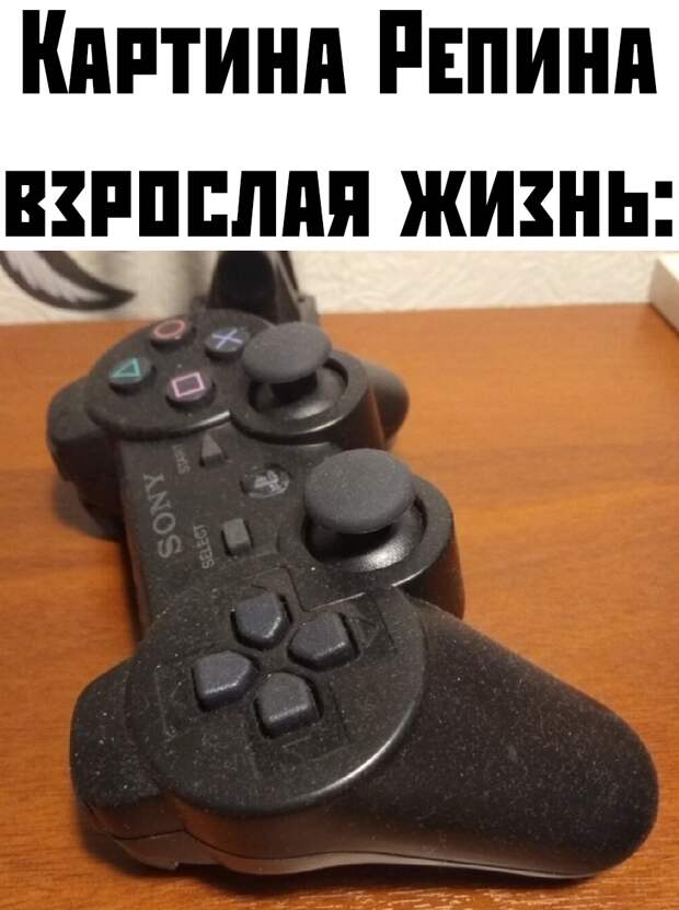 kartinok-prikolnyh-podborka-kartinki-smeshnye-kartinki-fotoprikoly