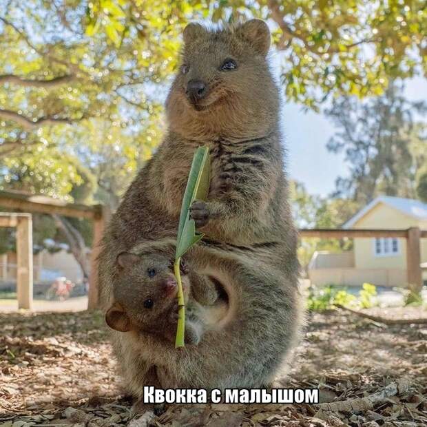 Подборка картинок. Вечерний выпуск (32 фото)