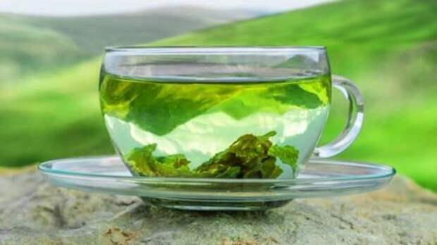 Природные энергетики.  Заварите зеленый чай.