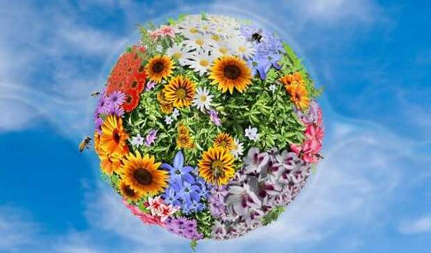 В МАЕ БУДЕТ ВЕСЕЛО И НЕПРЕПРЕДСКАЗУЕМО