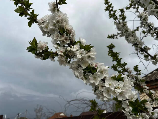 Куртки долой: россиян ждёт майское тепло уже в понедельник — готовьтесь к рекордам
