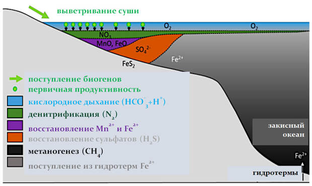 Рис. 2. Концептуальная модель химической зональности эдиакарского-раннекембрийского океана