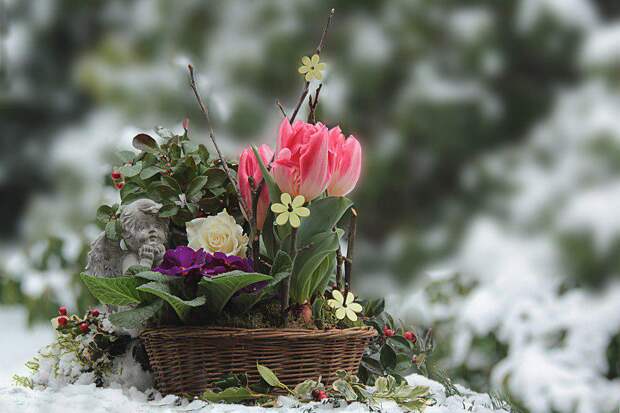 Цветы / фото: pixabay.com