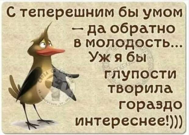 Смешные и забавные истории и шутки для настроения из жизни