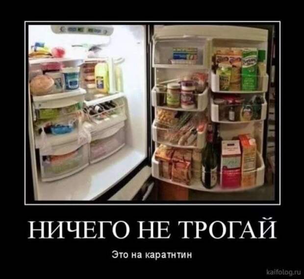 Прикольные демотиваторы с надписями. Подборка chert-poberi-dem-chert-poberi-dem-15130412112020-16 картинка chert-poberi-dem-15130412112020-16
