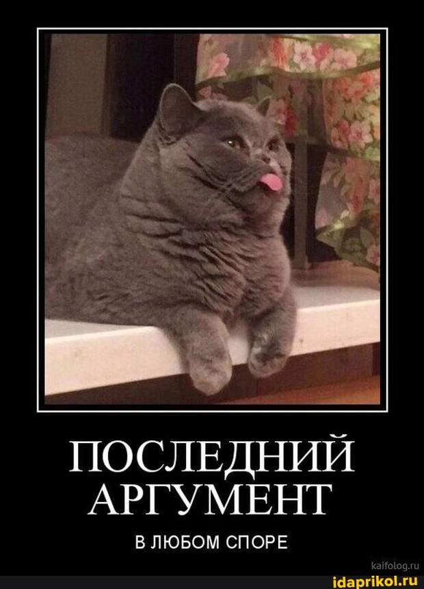 Свежий юмор для хорошего настроения