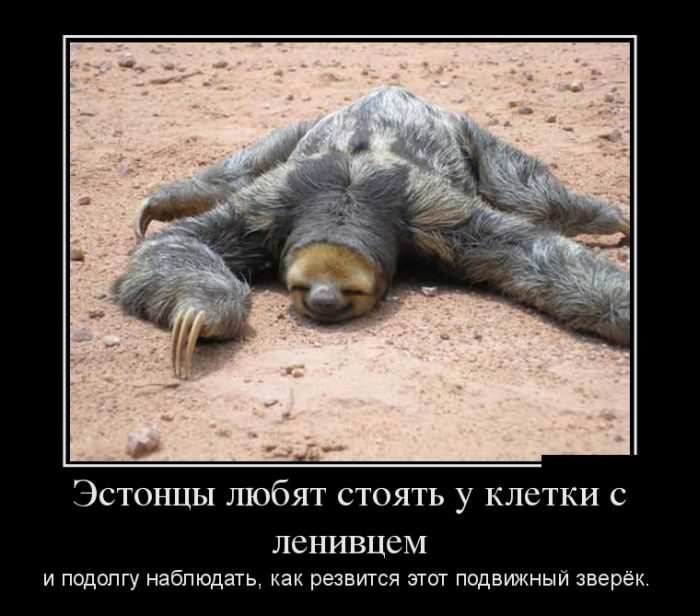 Такие вот демотиваторы...