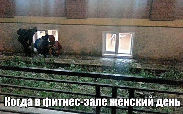 1476385534_01