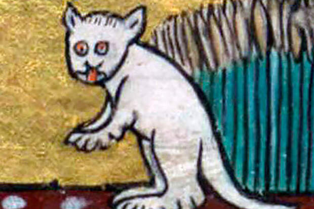 На всех картинах Средних веков кошки нарисованы страшными: историки назвали причину
