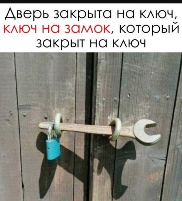 картинки прикольные смешные (15)