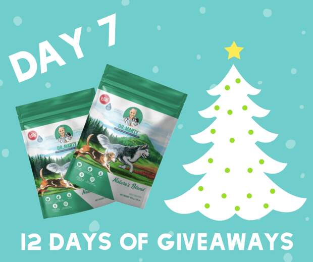 Feeding your floof can be difficult. We have a food we're sure your dog will love. Enter the giveaway on It's Dog or Nothing!