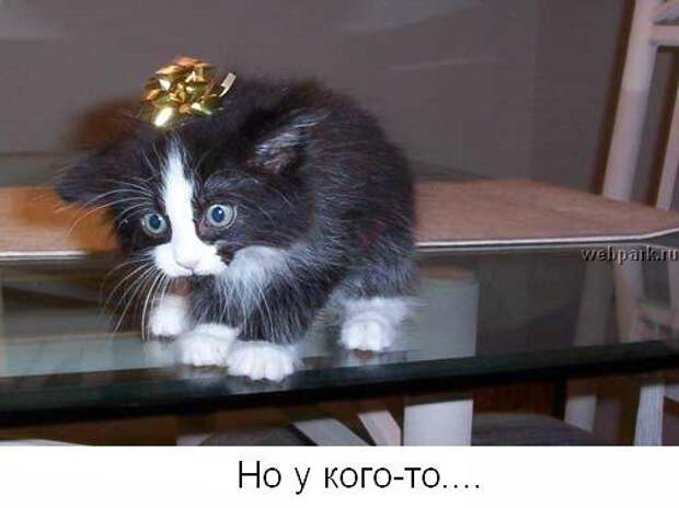 Не унывай! :) (22фото)