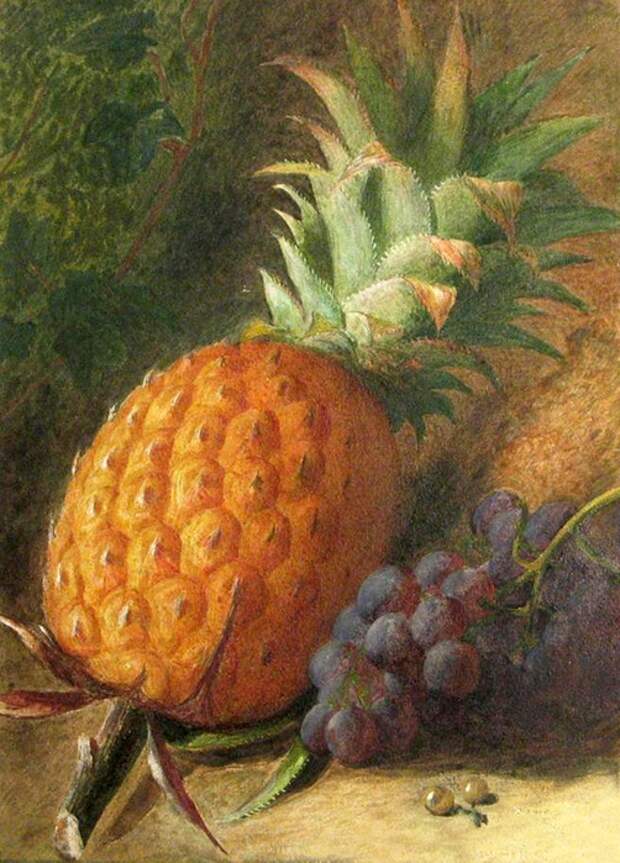 0_9d99e_841c4561_orig (502x700, 308Kb)