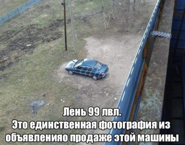 1453386454_avtoprikoly-1