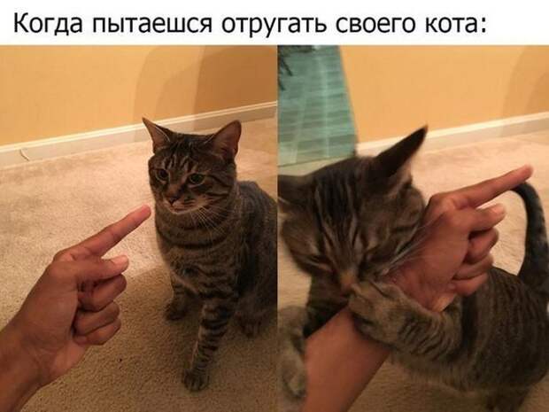 Пятничная подборка забавных картинок забавные картинки, прикол, юмор