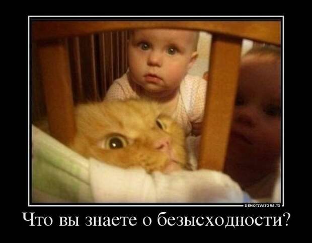 Такие вот демотиваторы...