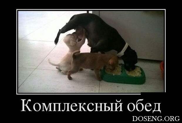 Демотиваторы Демотиваторы