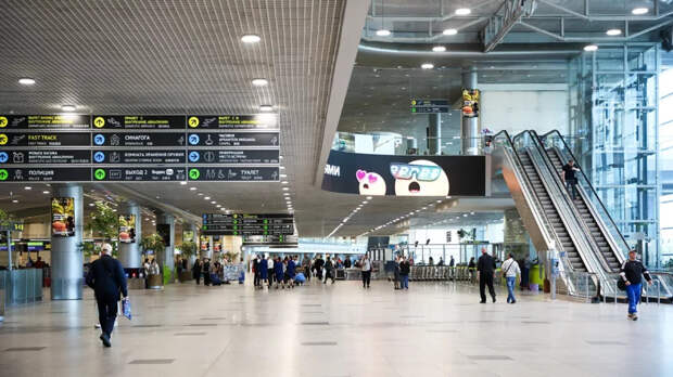 Юрист Арабова назвала конфискацией решение суда по аэропорту Домодедово