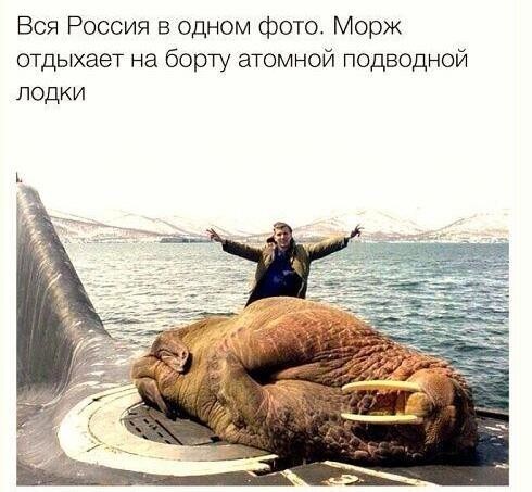 Как живется на субмарине и людям с субмариной