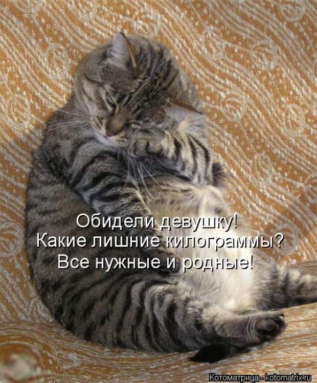 Котоматрицы(картинки с надписями)