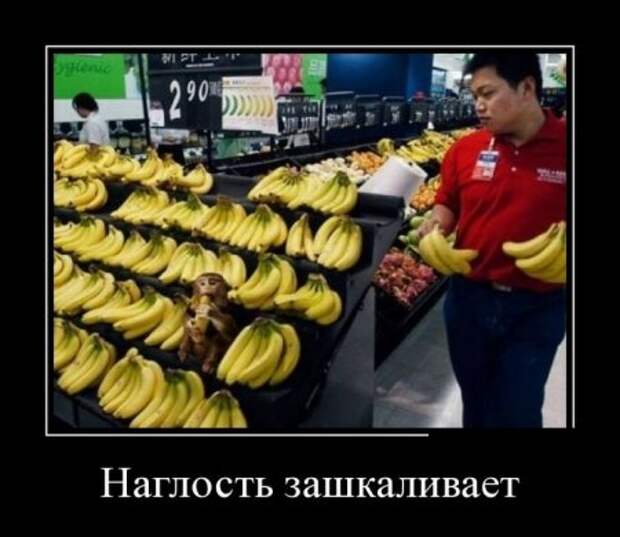 Демотиваторы (30 фото)