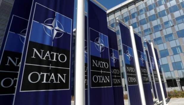 Пока прибалтийские политики кланяются США, военные НАТО унижают местных в наркотическом угаре нато, прибалтика, сша