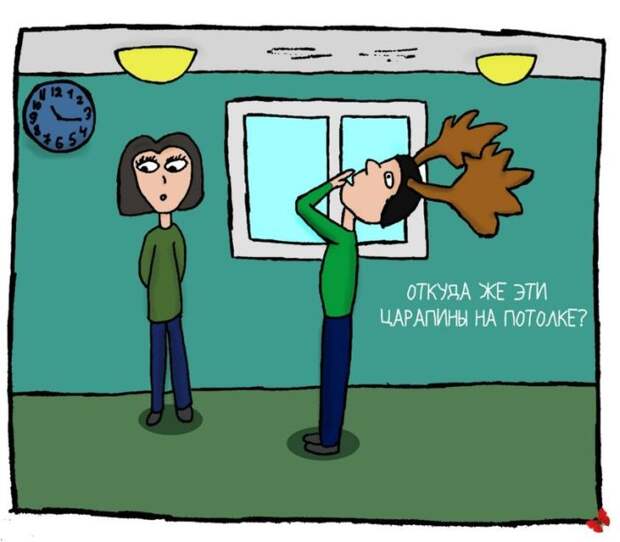 Прикольные картинки Прикольные картинки