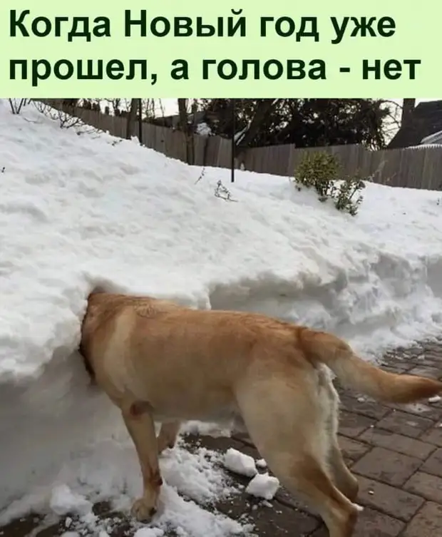 Мою девушку зовут Анжела, но она откликается только на имя Мою девушку зовут Анжела, но она откликается только на имя