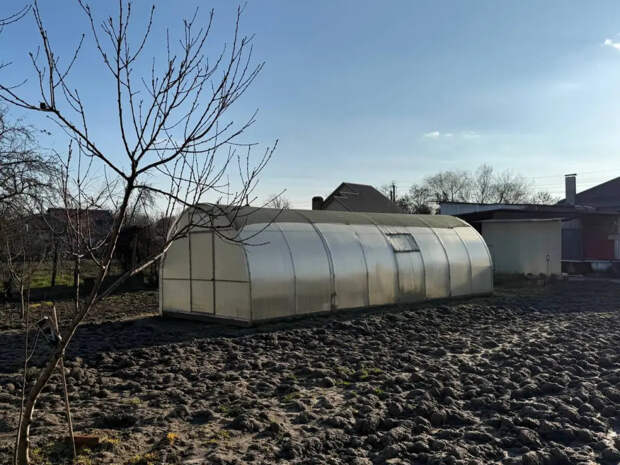 Навоз отдыхает: сыпьте это в землю в апреле — к маю грядки вздохнут как впервые